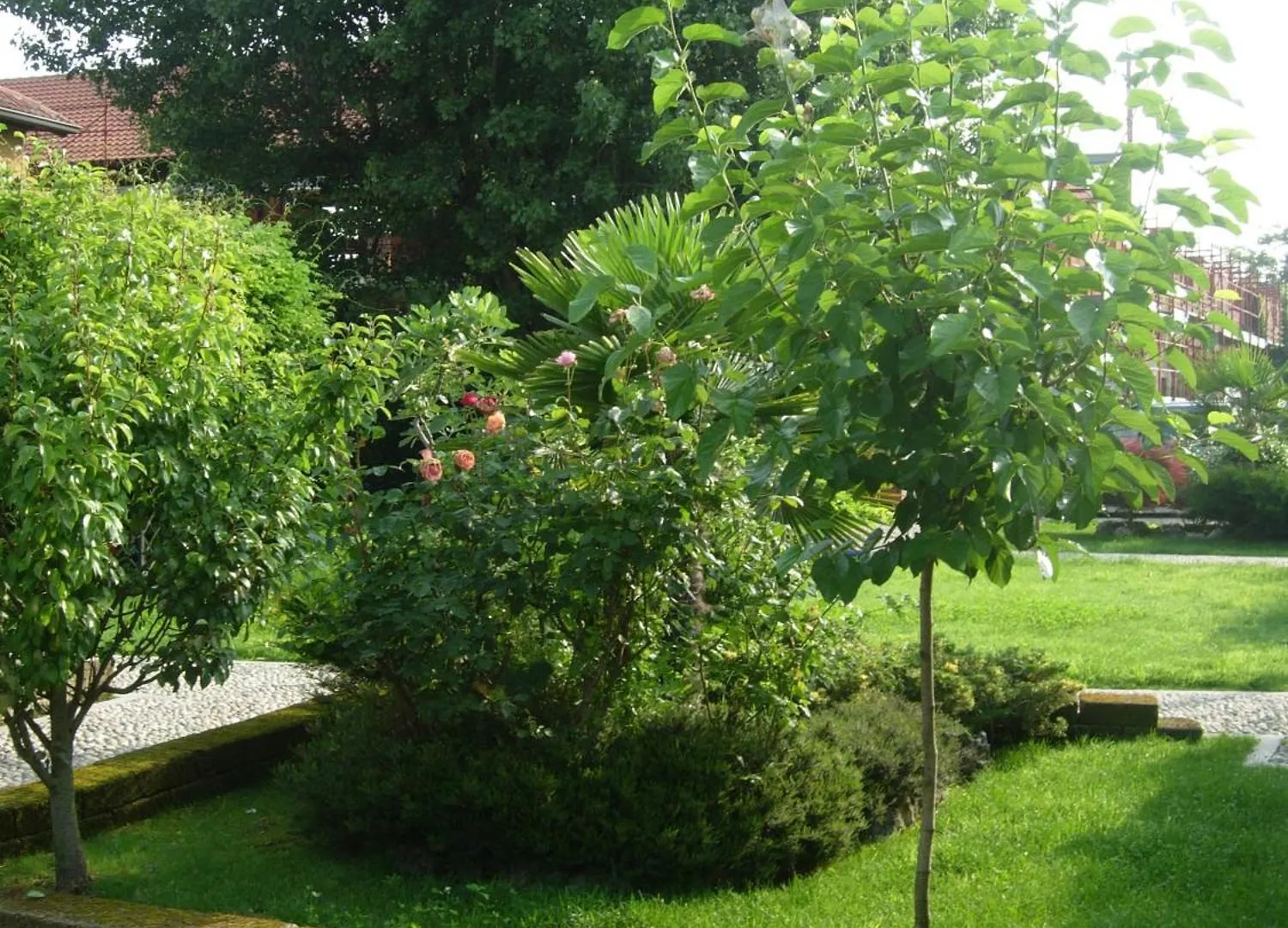 Bed & Breakfast B&B Il Pioppo E La Fonte Castello d'Agogna
